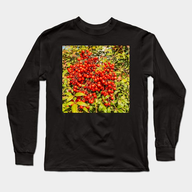 Berries Long Sleeve T-Shirt by thadz